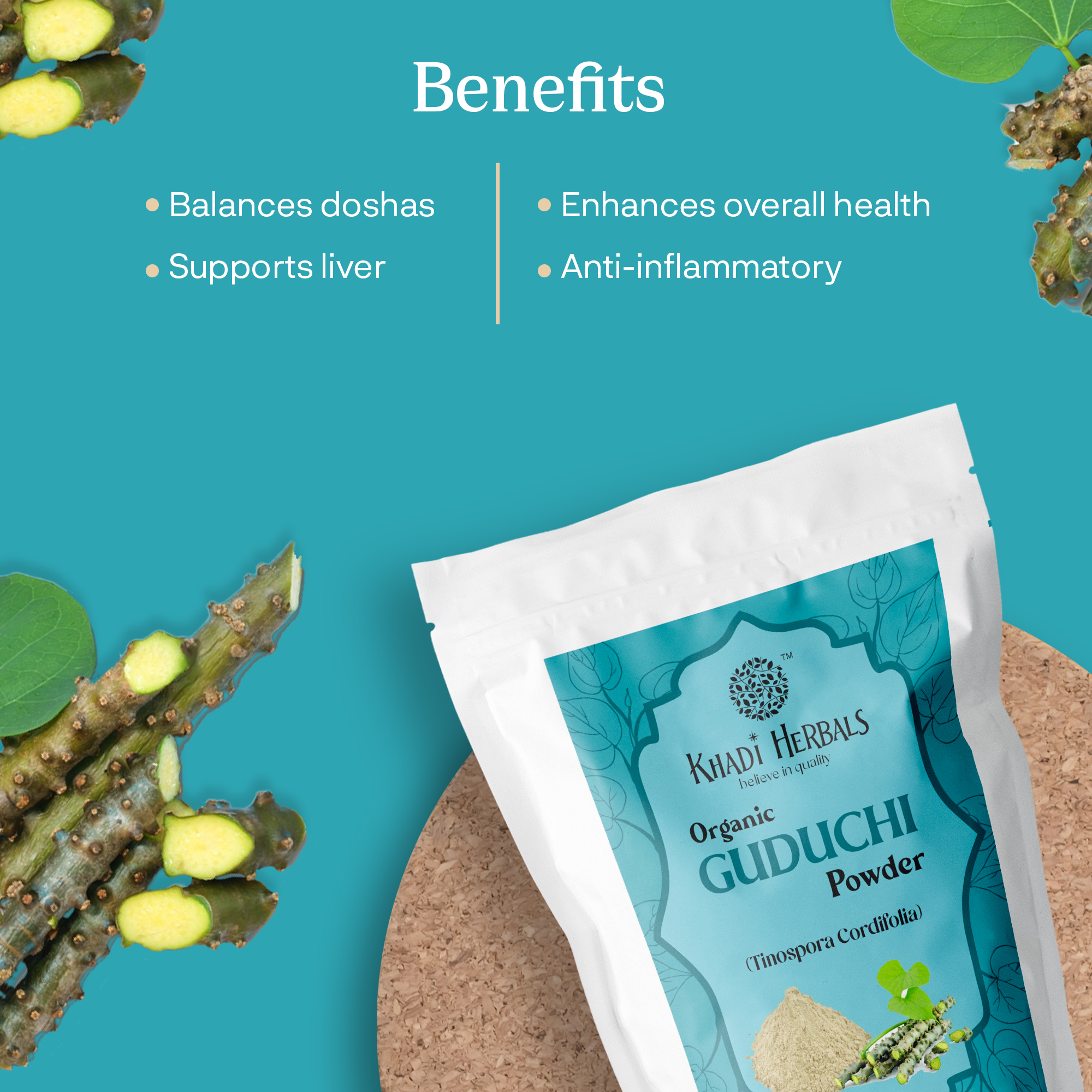 GUDUCHI POWDER BENEFITS