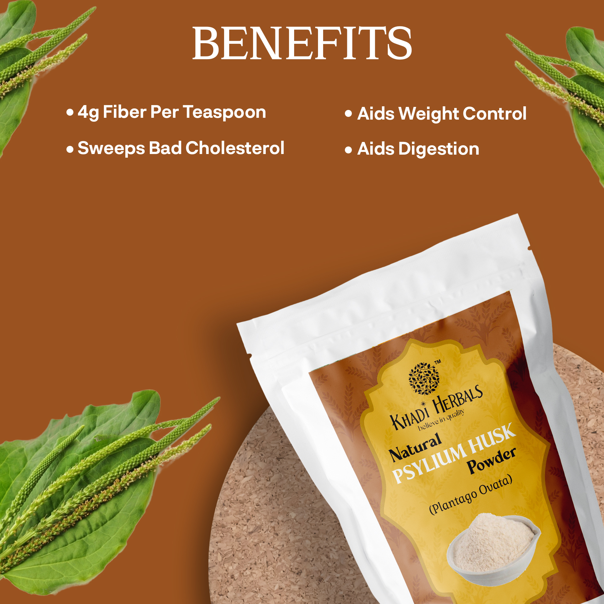 PSYLIUM HUSK POWDER BENEFITS