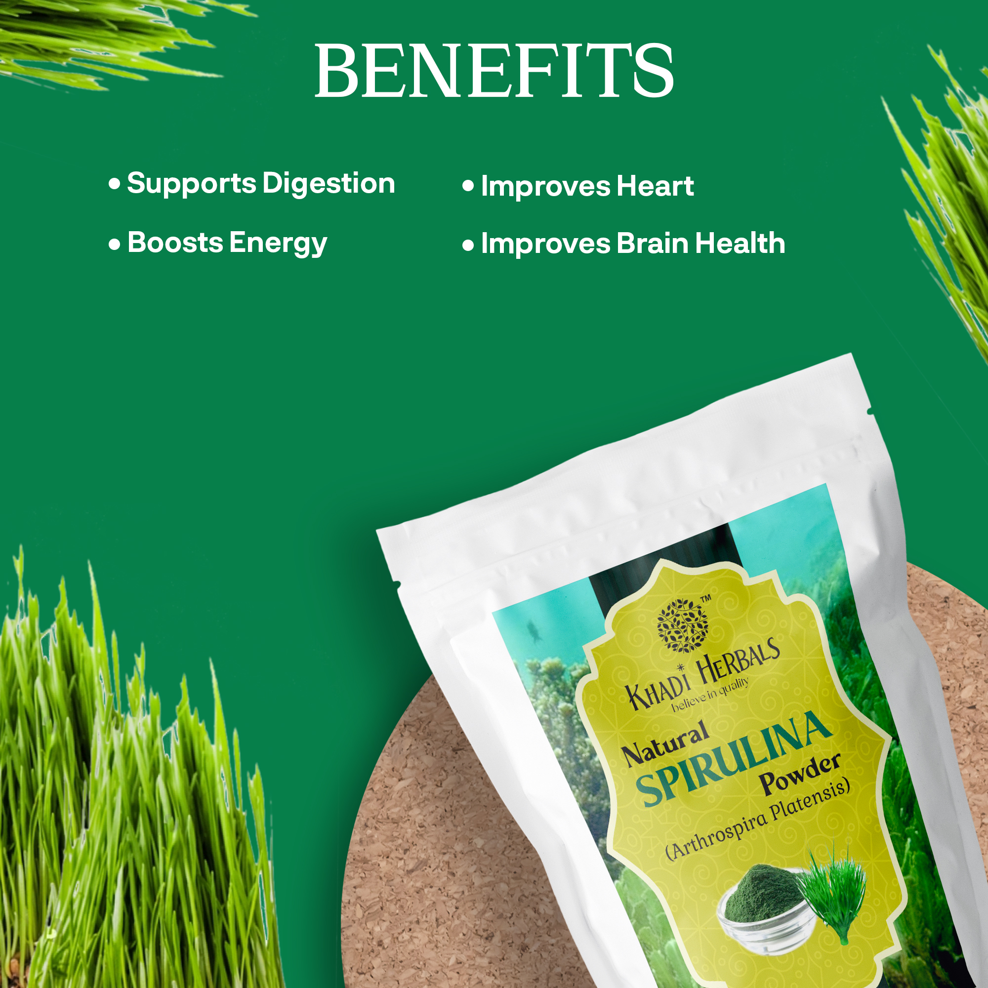 SPIRULINA POWDER BENEFITS